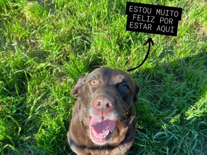 Criação de Conteúdos e Gestão de Redes Sociais